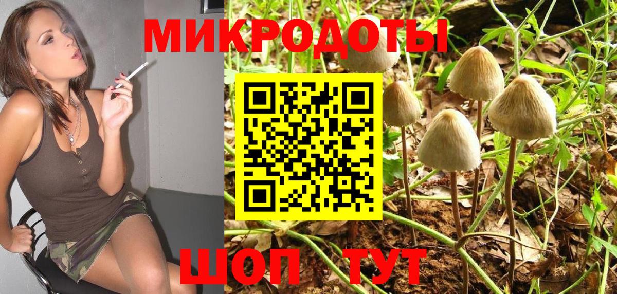 Галлюциногенные грибы GOLDEN TEACHER  Вход с VPN  Орск  Галлюциногенные грибы прущие грибы 